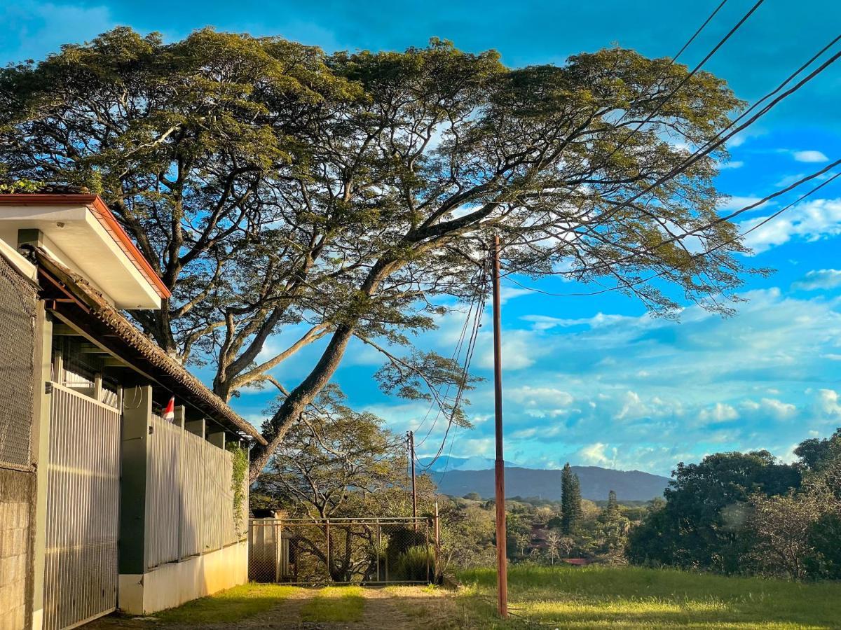 Zeus Guesthouse -Free Sjo Airport Shuttle La Garita (Alajuela) Esterno foto